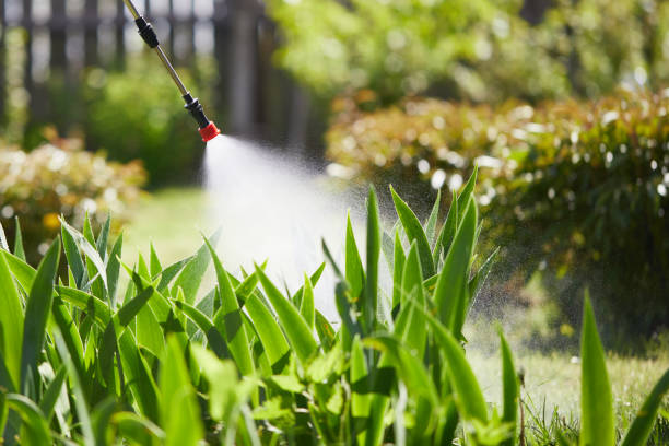 24/7 Emergency Mosquito Control experts in Piedmont, SC