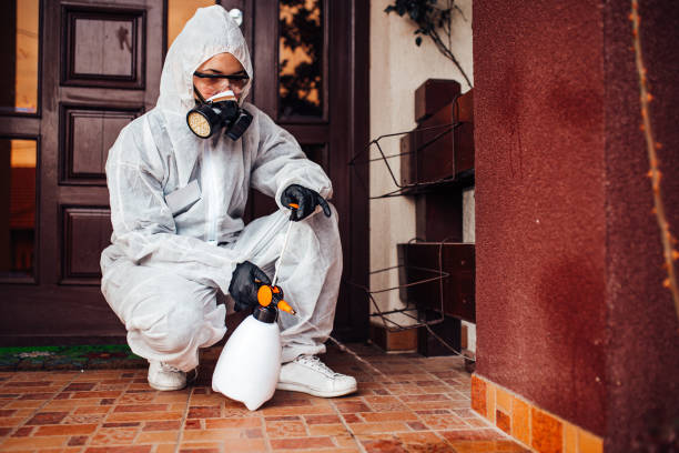 Reliable Mosquito Control contractor in Piedmont, SC by Show Me Pest Control